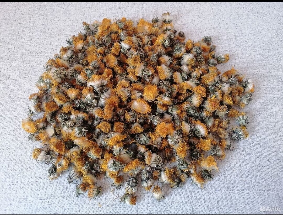 Фото с сайта Авито. 