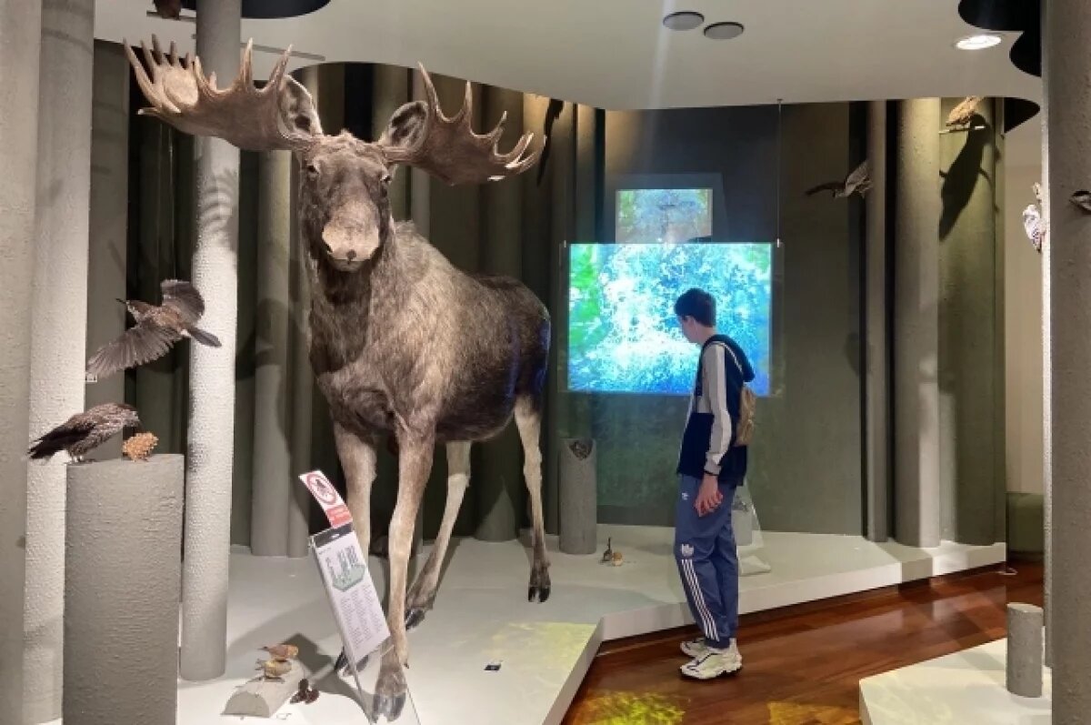    Ежегодно 18 мая празднуется Международный день музеев.