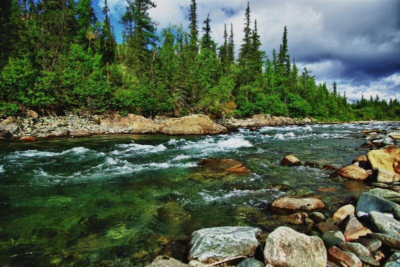 Яндекс. Картинки. 