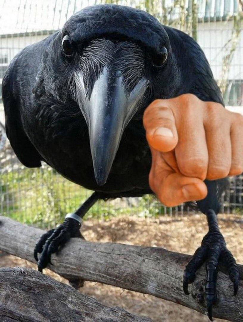 Ошибаться можно, врать нельзя!