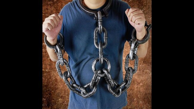 фото из Яндекс картинки