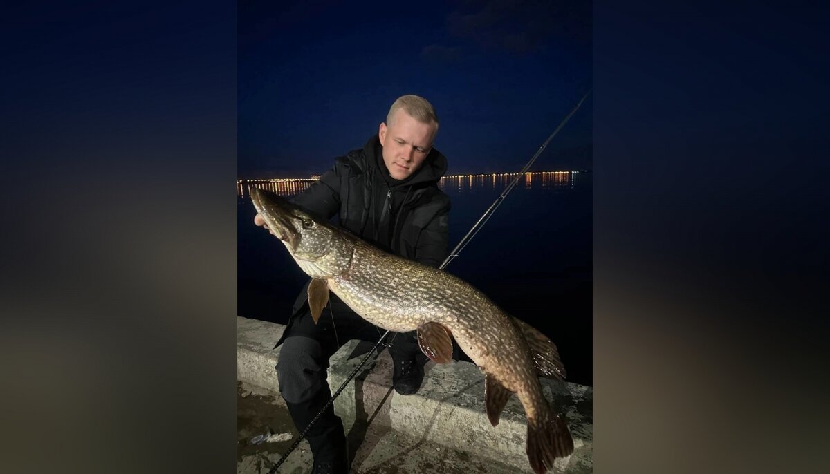    В Саратове рыбак поймал на набережной щуку более 20 кг и отпустил ееНовости Саратова и области – Сетевое издание «Репортер64»