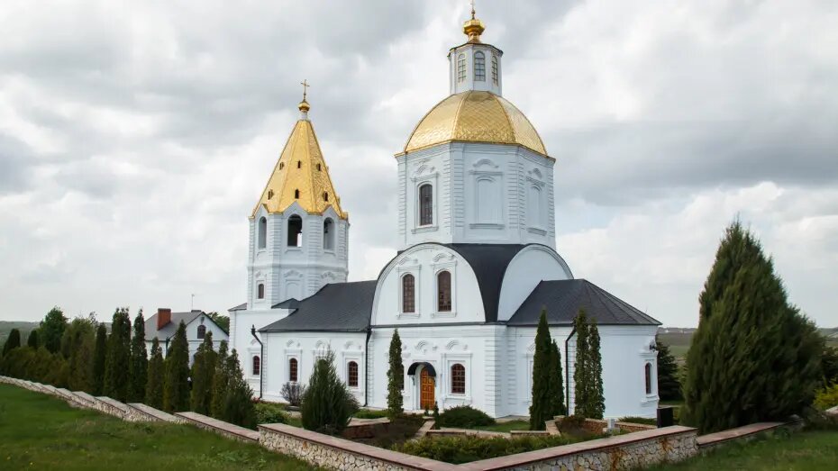    Автор фото: Виктория Курляндская