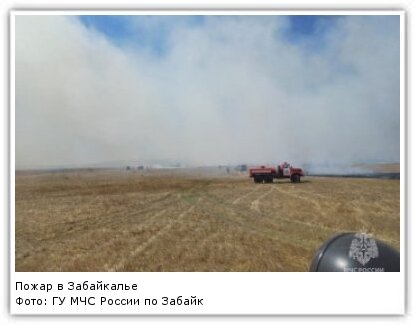 Пожарные Забайкалья потушили 32 возгорания сухой травы в крае 17 мая и спасли от огня шесть чабанских стоянок и пять сёл.