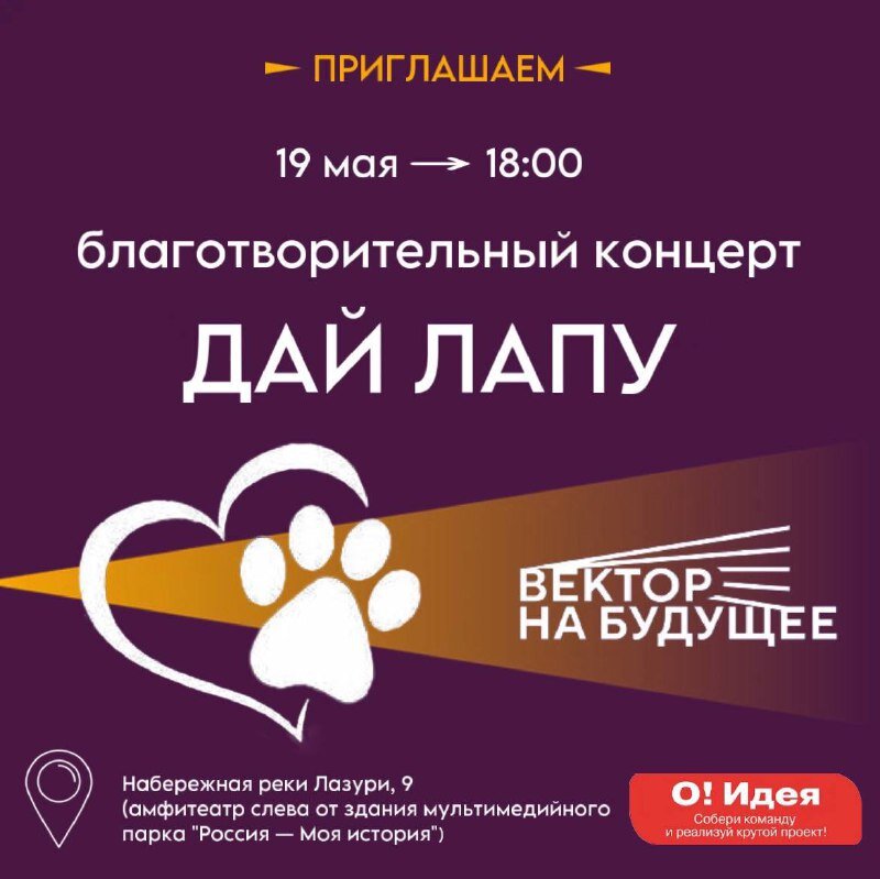 «Дай лапу!» Благотворительный концерт с таким названием пройдет в Твери в это воскресенье