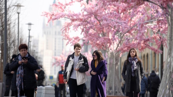    Весенний температурный рекорд в Москве может обновиться на следующей неделе Алина Городниченко