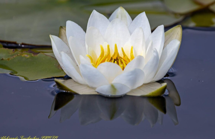 Советский спортивный лагерь