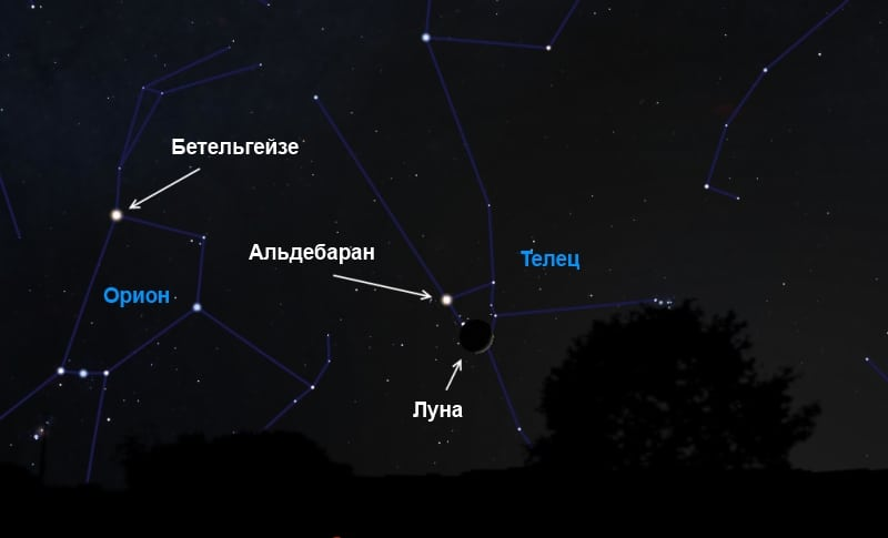 Звезда акрукс созвездие южный крест. Южный наблюдаться. Карта звездного неба северного полушария с созвездиями. Основные точки небесной сферы • зенит, надир. Южный наблюдаться.