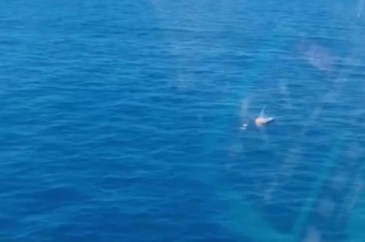    ВС РФ уничтожили 2 безэкипажных катера ВСУ в Черном море и на Днепре