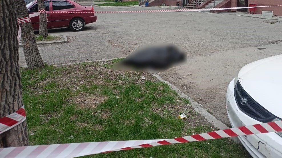    фото: СКР по Свердловской области