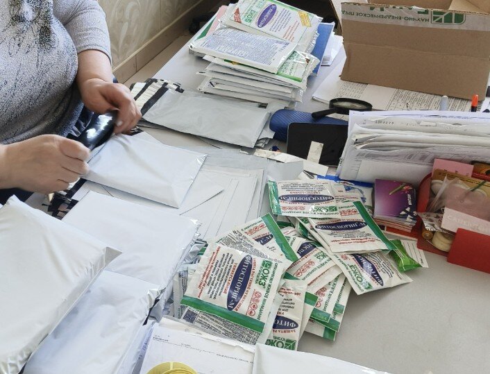 Фото автора. 