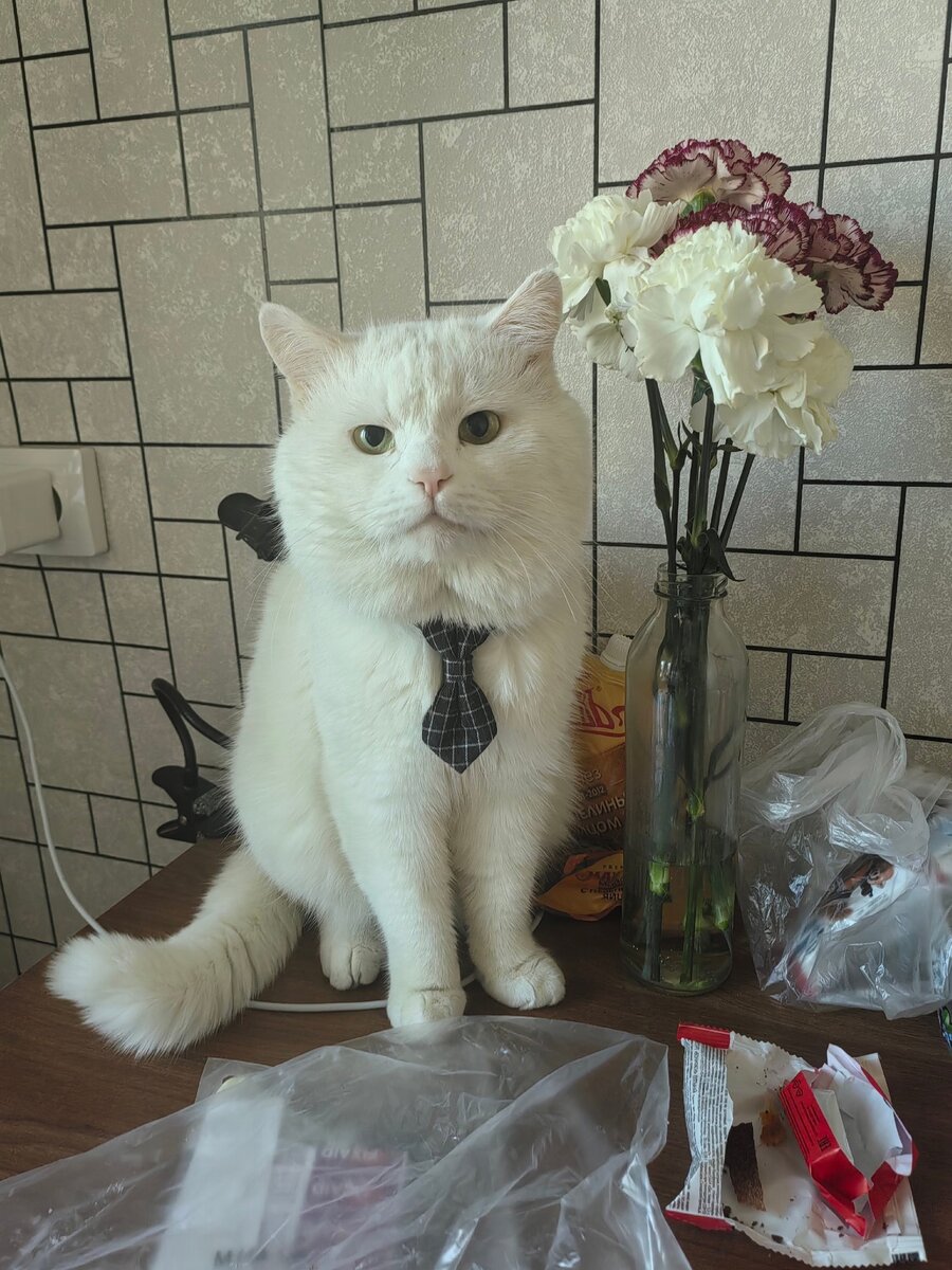 Листайте карусель)