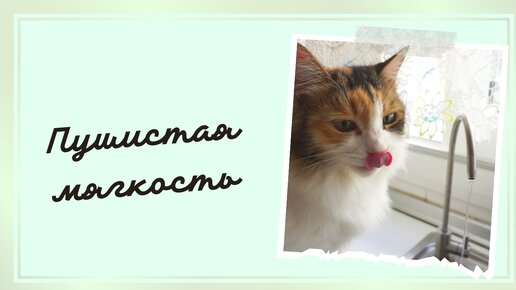 Немного пушистой мягкости