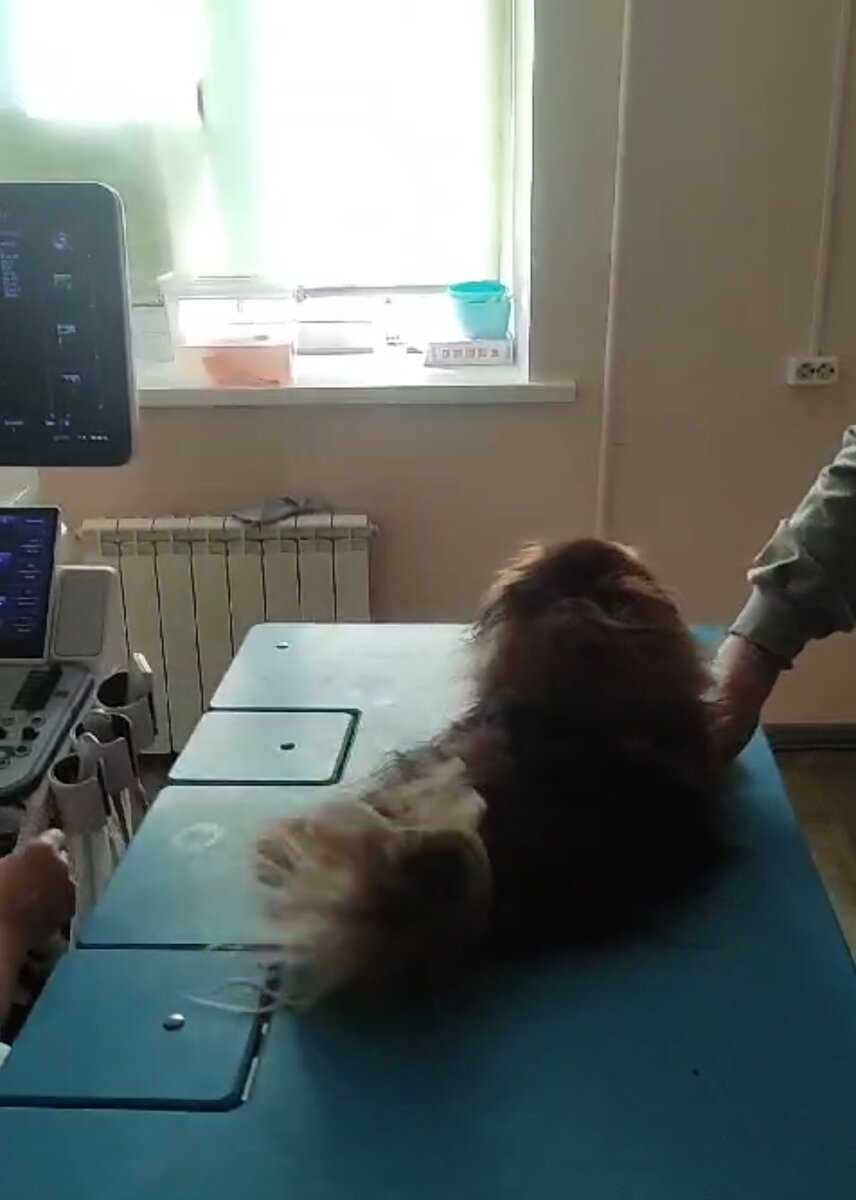 Перед операцией в клинике.