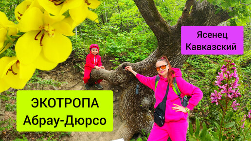 #108 Абрау-Дюрсо ЭКОТРОПА #sumkiberry #абраудюрсо #новороссийск #озероабрау #ясенец #цветы #весна