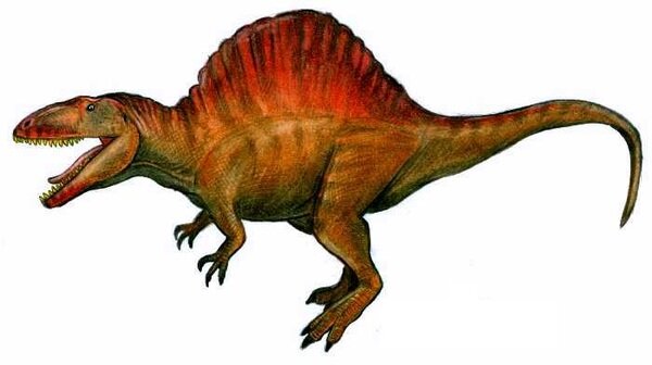 Нужно... Найти.... Майонез....