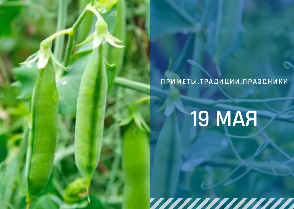   ГТРК "Ставрополье"