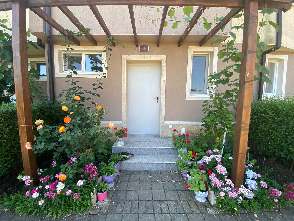 Моя гордость - болгарский мини-рай... Фото автора