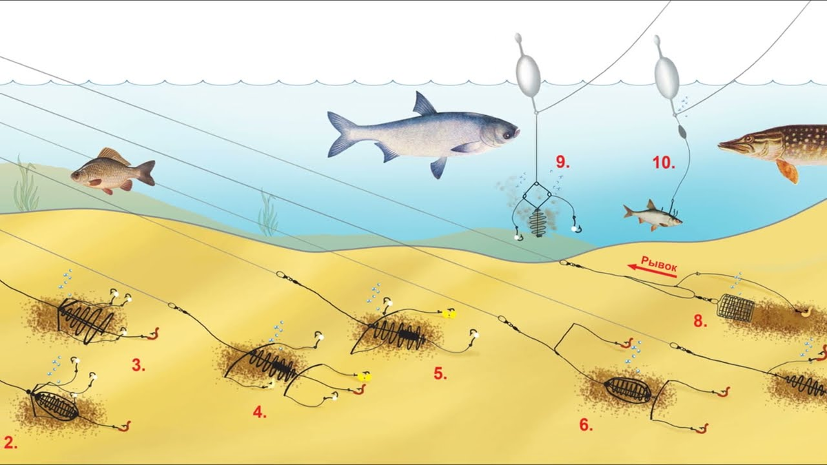 Фото с сайта: https://mirribaka.ru