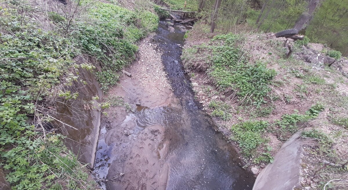 Купаться в водоёмах Обнинска нельзя, но вода из-под крана сомнений не  вызвает | Обнинск | Дзен