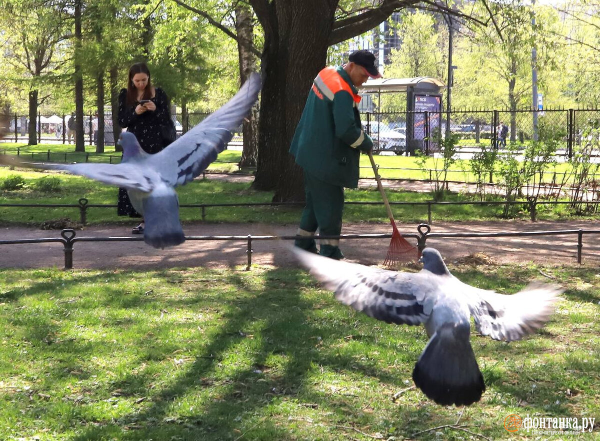 В Петербурге 18 мая прошел День благоустройства — все желающие вышли на  субботник, чтобы убрать мусор и сдать его в переработку, посадить деревья и  цветы. Читайте на 