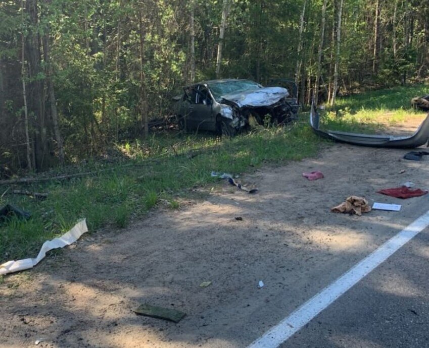 © МВД по Петербургу и Ленобласти