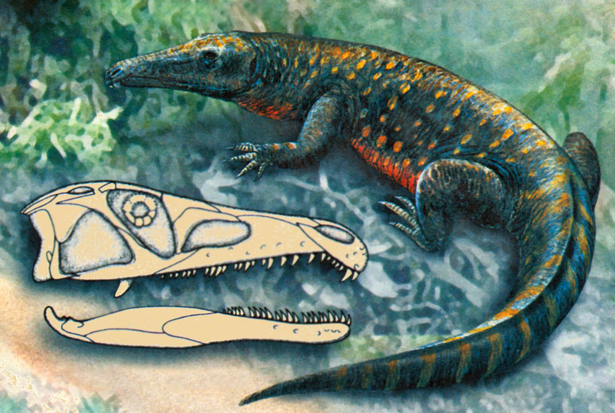 Это ещё очень несовершенный архозавроморф