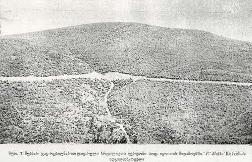 Северные склоны в окр. сел Игоити, покрытые дубово-грабниковыми низкорослыми зарослями. Местообитание вида P. Majko Ketzch.