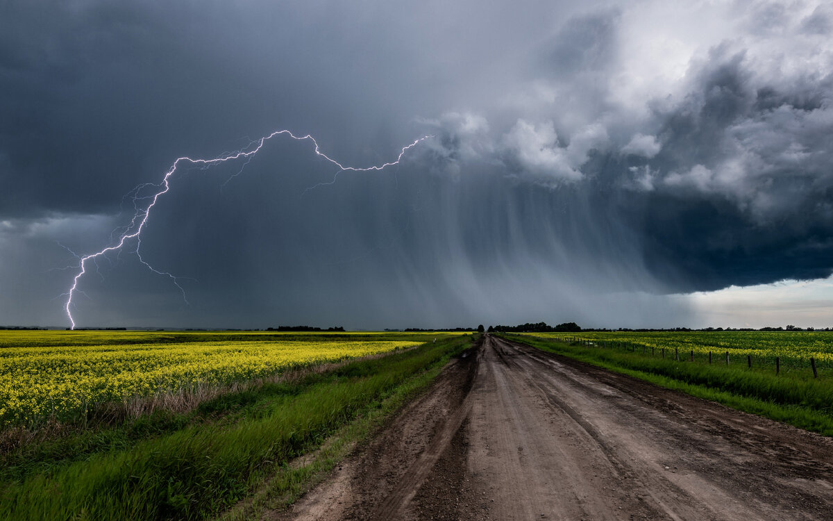Фото взято из открытых источников