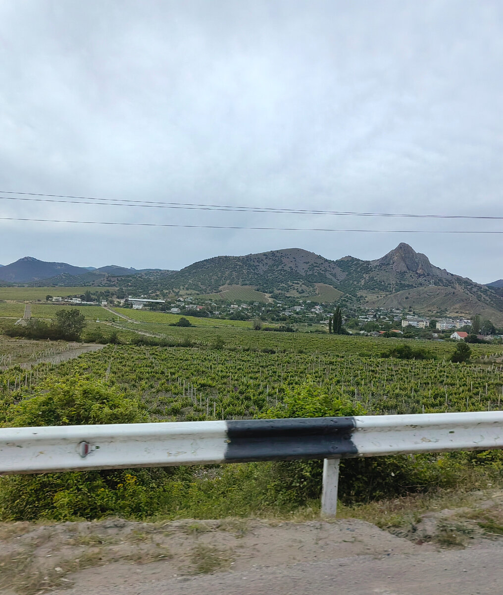 Судакская долина и ее виноградники