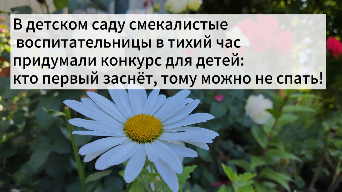 Анекдоты про садик. В многодетной семье скоро выпускной в садике |  Счастливая мамАня | Дзен