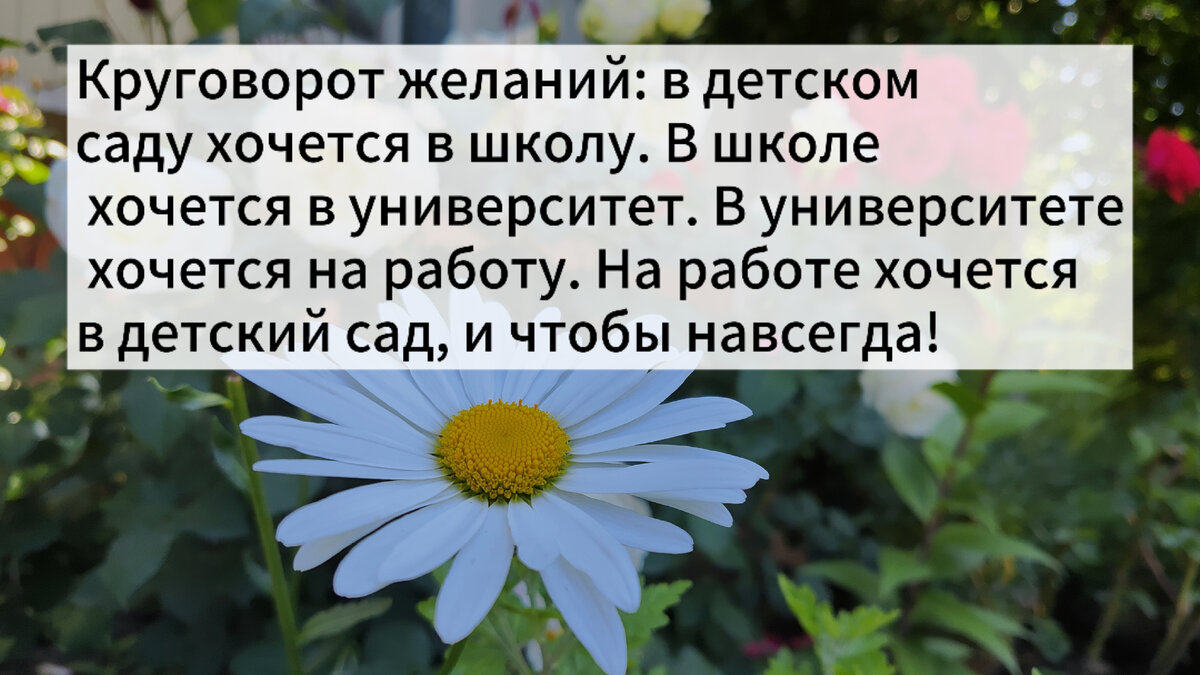 Анекдоты про садик. В многодетной семье скоро выпускной в садике |  Счастливая мамАня | Дзен