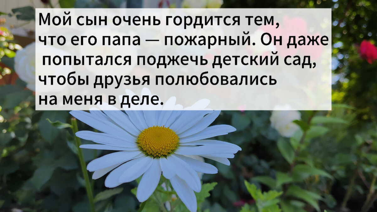 Анекдоты про садик. В многодетной семье скоро выпускной в садике |  Счастливая мамАня | Дзен