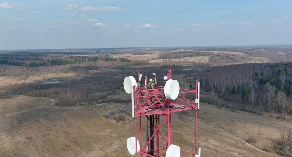    Комитет лесного хозяйства Московской области