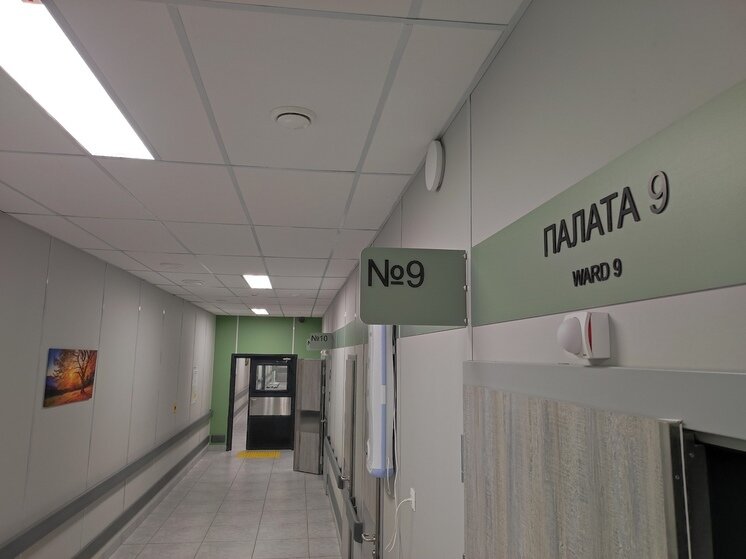     Фото: МК в Питере