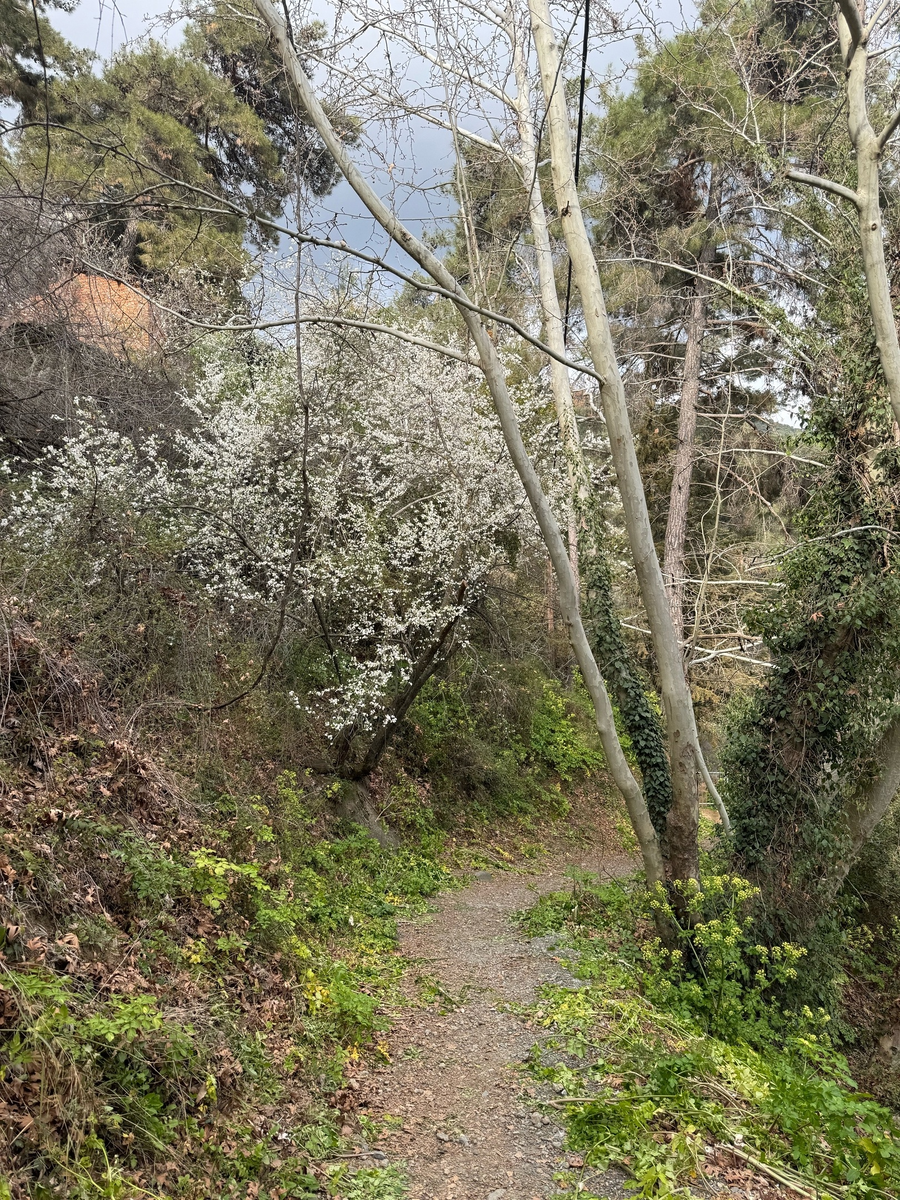 Природа там чудесная и разнообразная