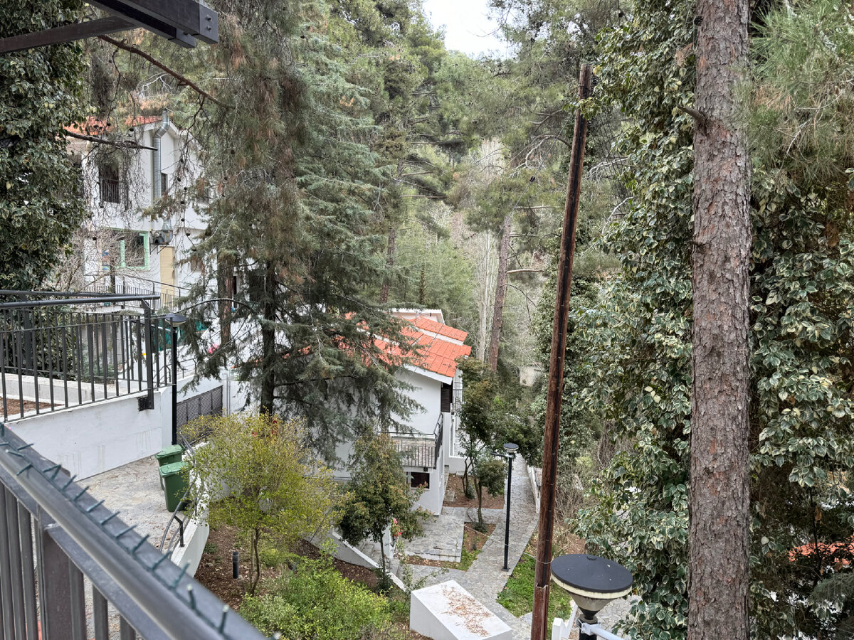 Представляете, комплекс буквально интегрирован в лес на склоне