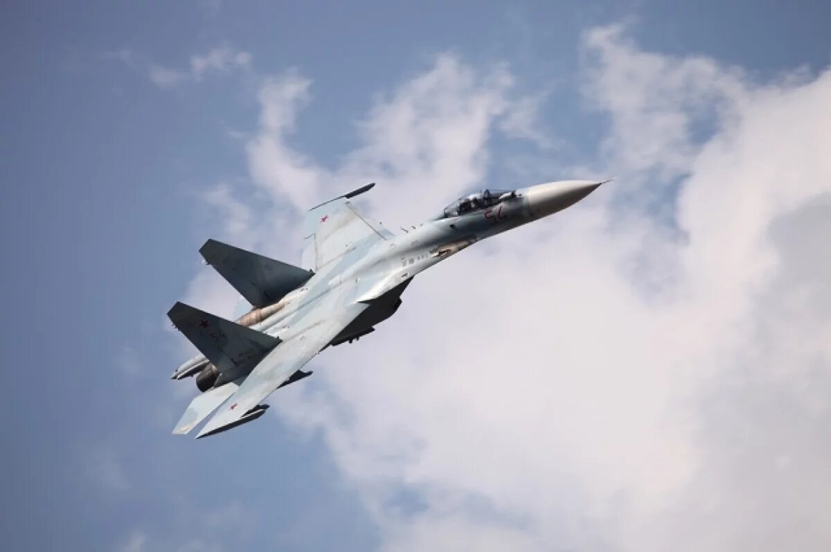    Поддубный: российский истребитель уничтожил одного из лучших летчиков ВСУ