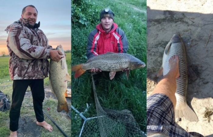 Источник фото: vk.com/fish161