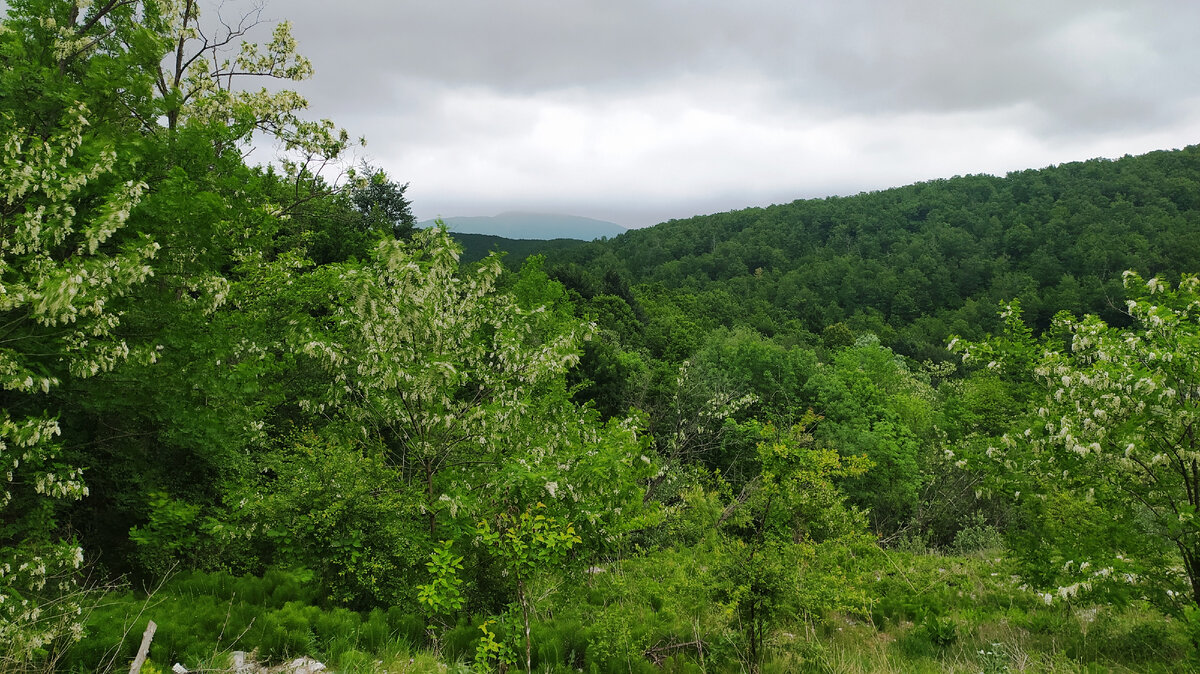 Виды шикарные по дороге на побережье.