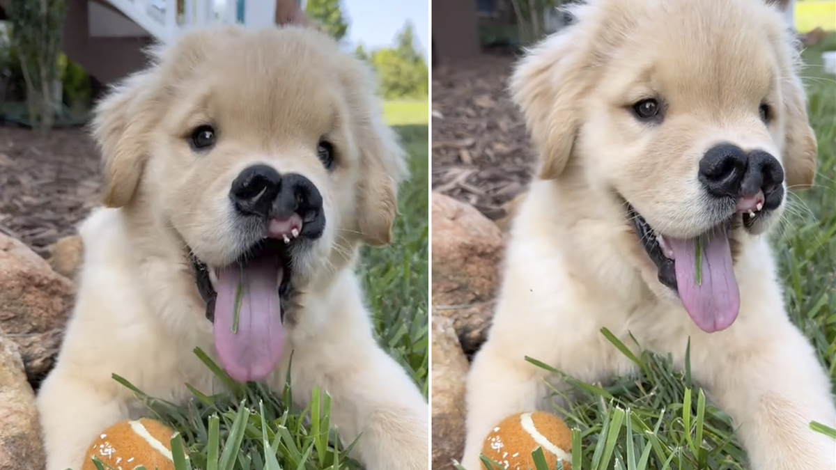    Улыбчивая малышка