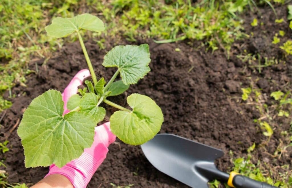 Фото из архива