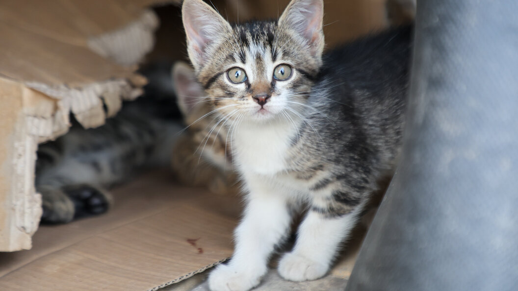    Фото: Belkin Alexey/news.ru/Global Look Press