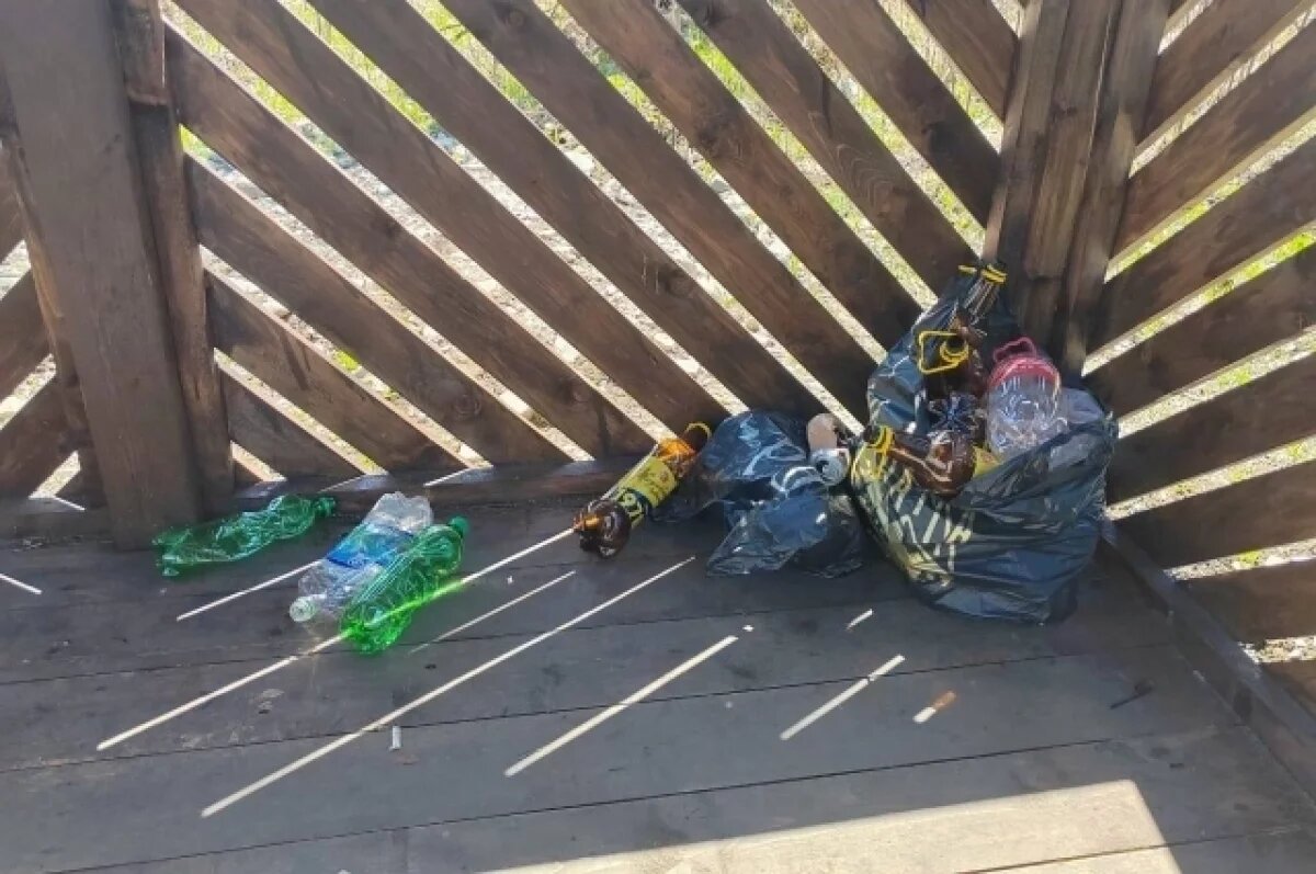    Глава района на Камчатке жестко отреагировал на пустые бутылки в парке