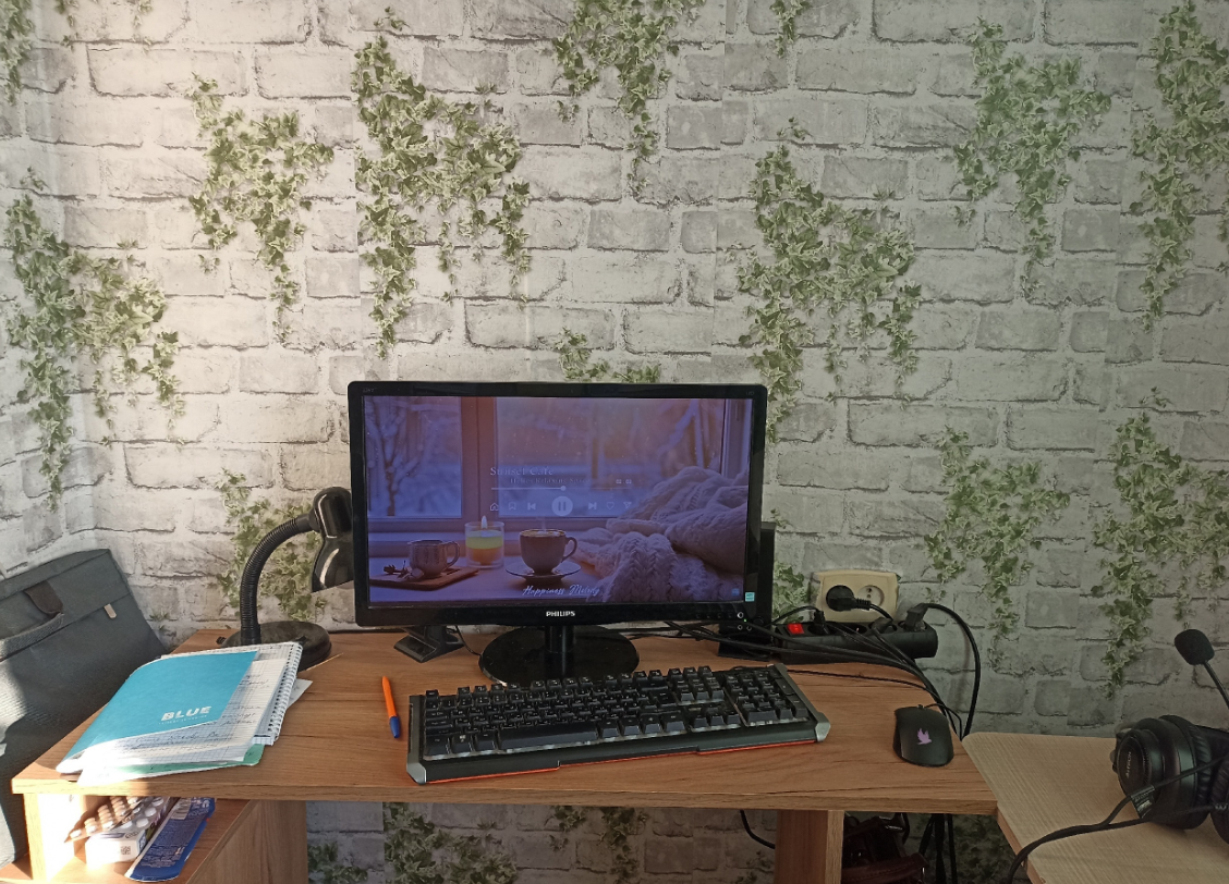 фото автора - моё рабочее место