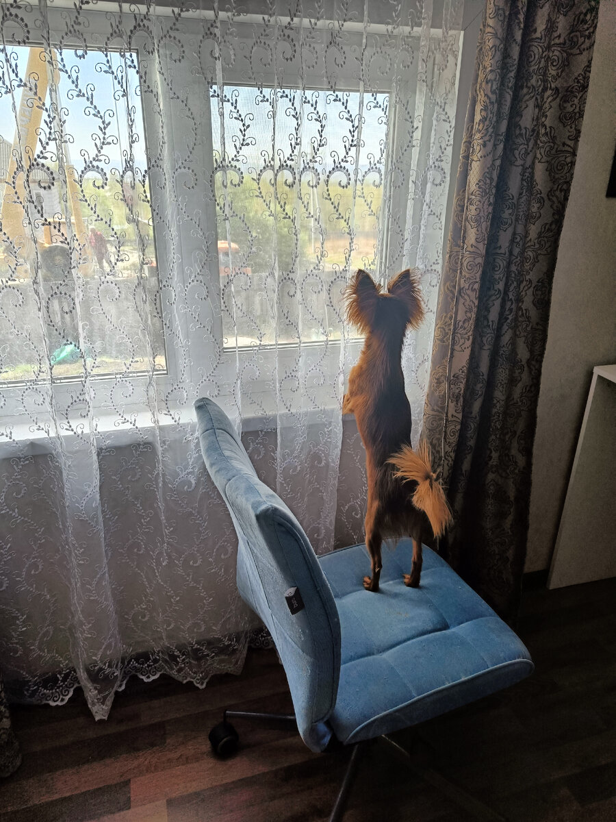 Следим за порядком не только в доме 