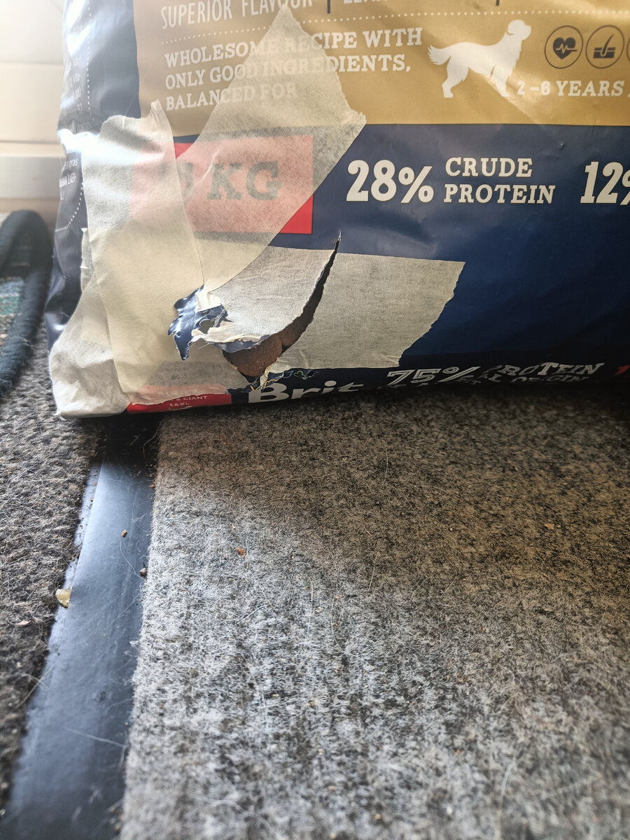 Настойчивость, достойная уважения.