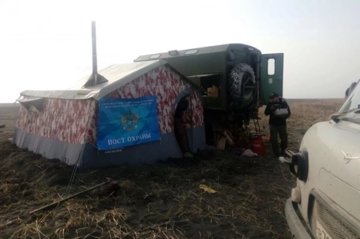    Больше 100 млн рублей потратят на борьбу с браконьерством на Камчатке