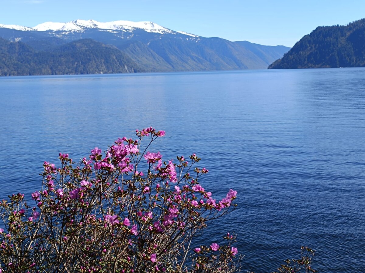Автор фото: Александр Лотов.
