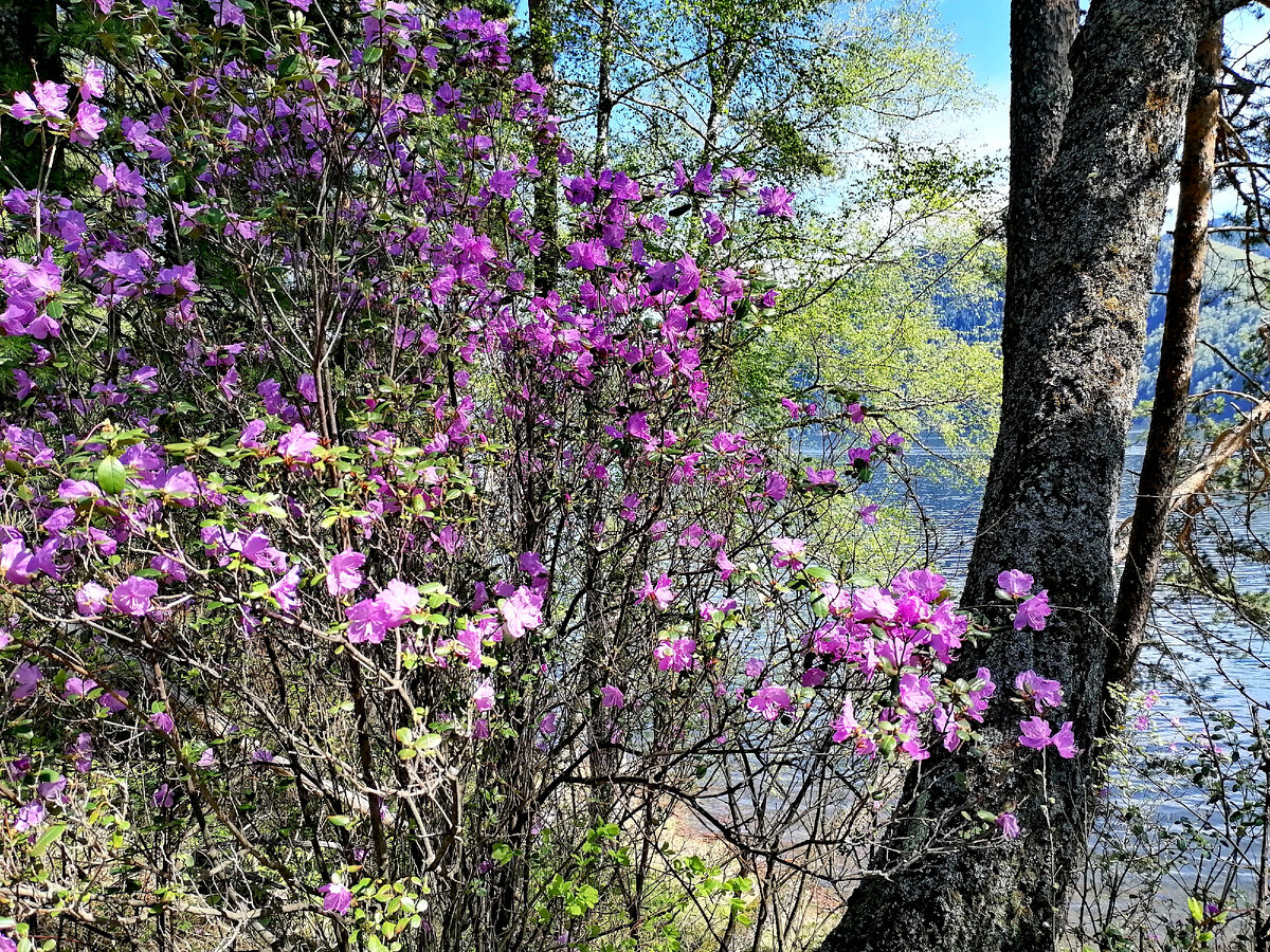 Автор фото: Игорь Светлояр.